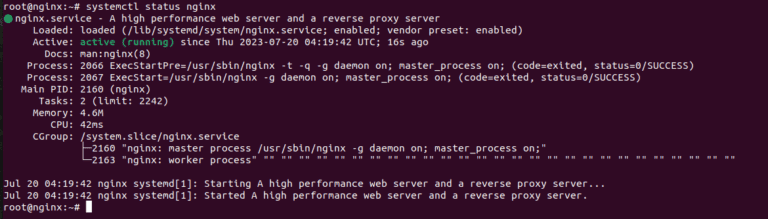 verify nginx status